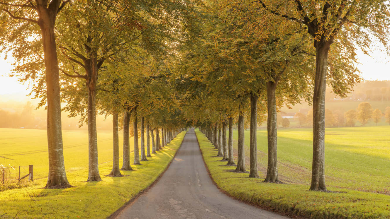 ANSYS workbench + nCode 疲劳分析